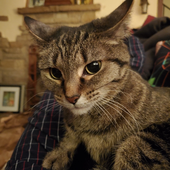 Meet your Posher, Mark - Picture 4 of 8